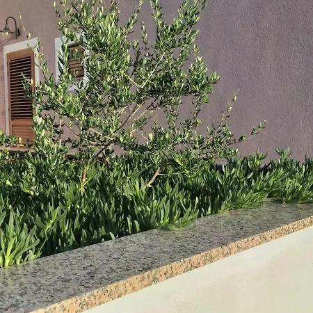 Amaryllis Residence, Diana & Deluxe With Shared Kitchen * Veli Losinj