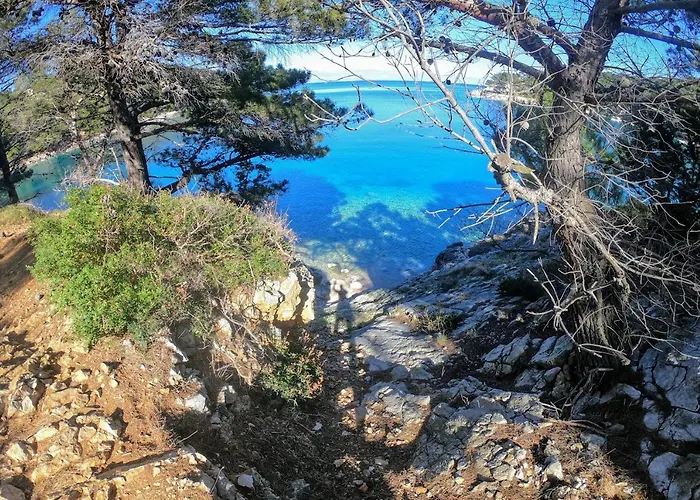 Amaryllis Family Appartement Veli Lošinj